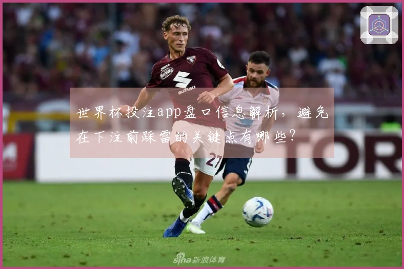世界杯投注app盘口信息解析,避免在下注前踩雷的关键点有哪些?