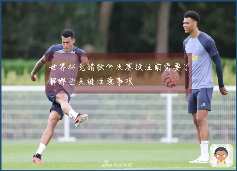 世界杯竞猜软件决赛投注前需要了解哪些关键注意事项
