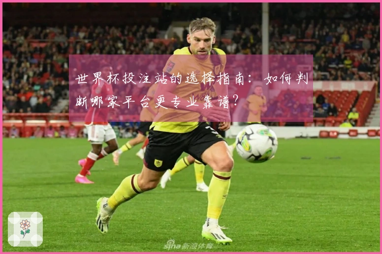 世界杯投注站的选择指南：如何判断哪家平台更专业靠谱？