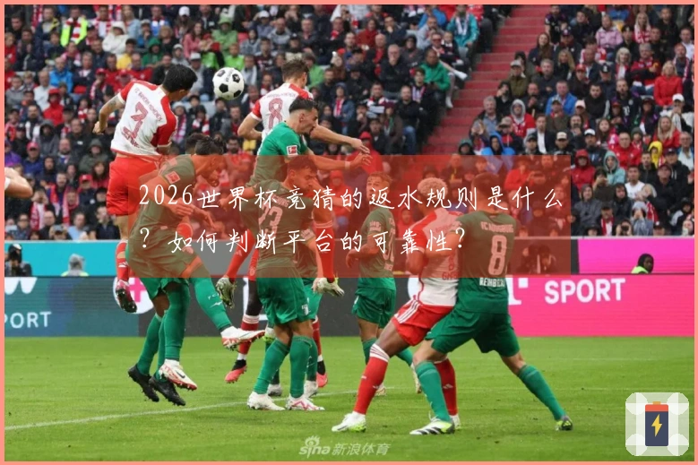 2026世界杯竞猜的返水规则是什么？如何判断平台的可靠性？